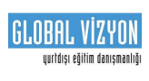 im globalvizyon logo